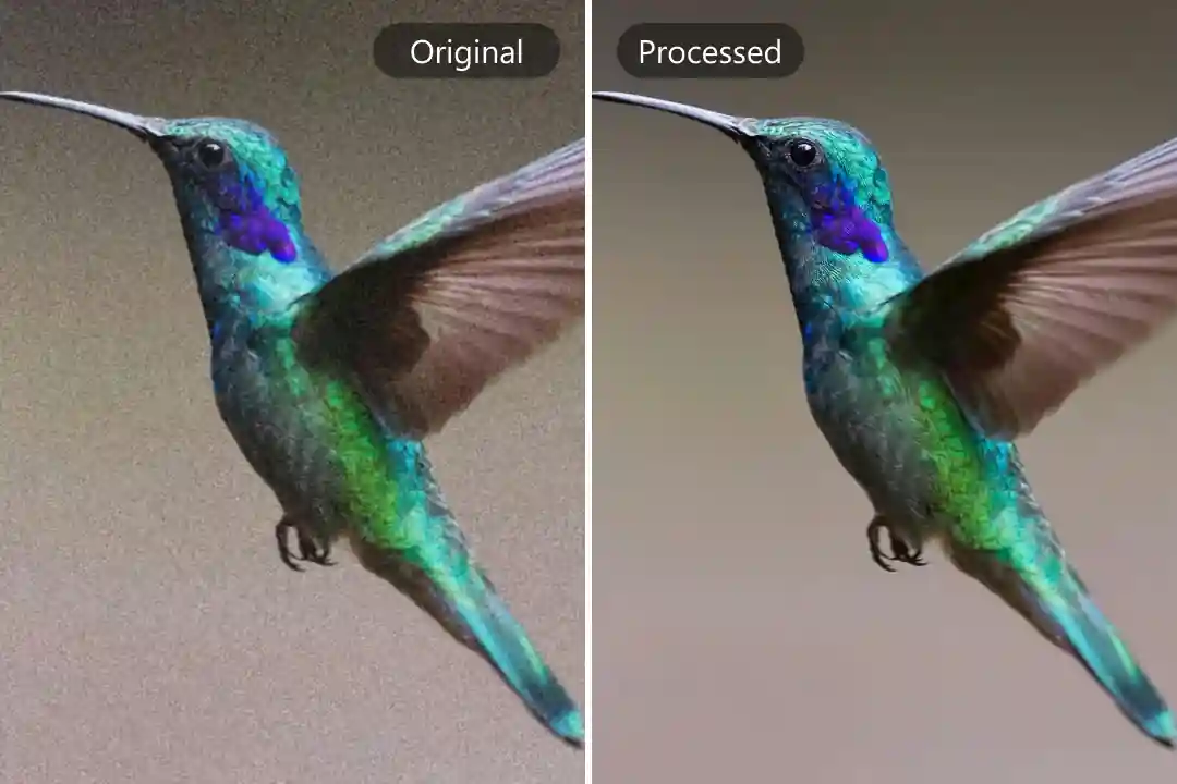 Restore Detail Lost to Digital Noise